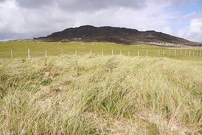2008_09_04_0837.jpg