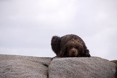 2008_09_04_0896.jpg