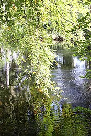 2008_09_04_0930.jpg