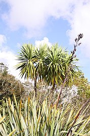 2008_09_04_0946.jpg