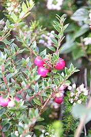 2008_09_04_0953.jpg