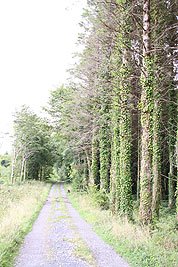 2008_09_05_0972.jpg