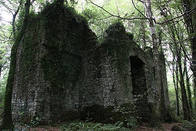 2008_09_05_0978.jpg