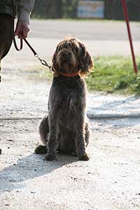 20080426-014.jpg