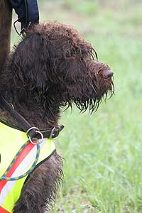 20080426-061.jpg