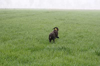 20080426-064.jpg
