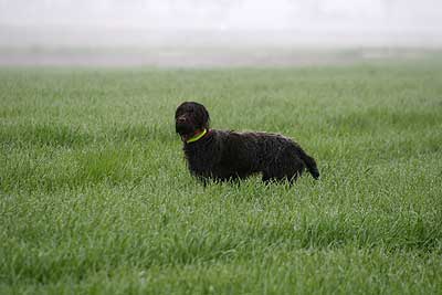 20080426-067.jpg