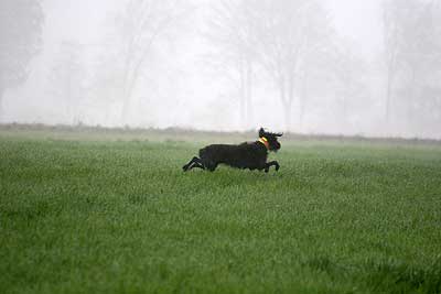20080426-077.jpg