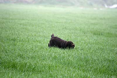 20080426-083.jpg