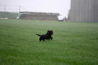 20080426-094.jpg