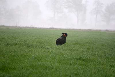 20080426-102.jpg