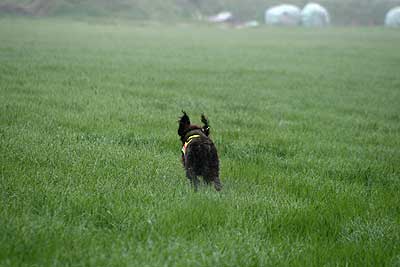20080426-120.jpg