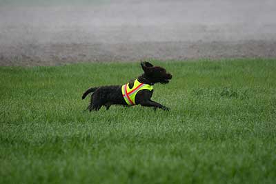 20080426-127.jpg