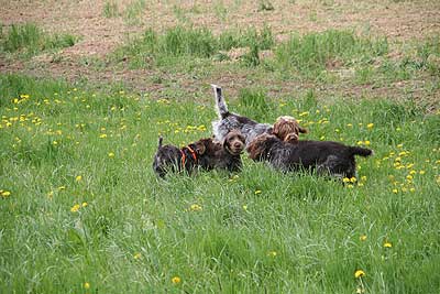 20080426-219.jpg