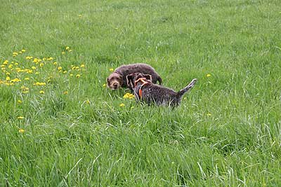 20080426-222.jpg