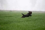 20080426-101.jpg
